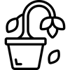 plant disease icon