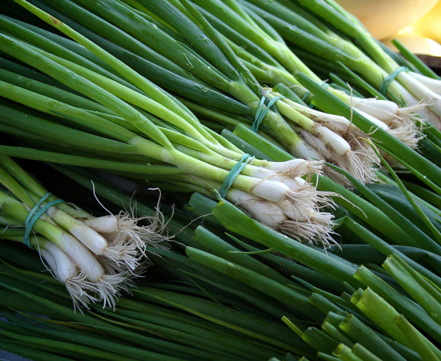 green onion bundles