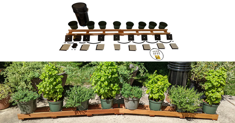 pot plant grow kit HERBIE Grow Kit x2 – 8 pots, 8 feet long, 12¾” spacing